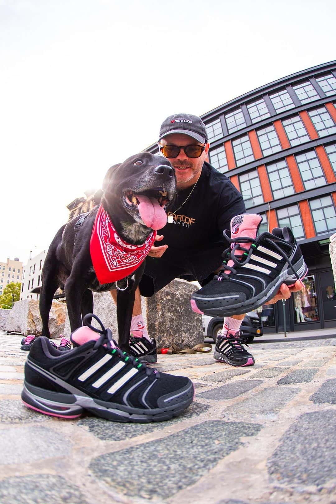 Otto, el perro de pañuelo rojo que inspiró la colaboración, en la campaña de las adidas Adistar Control 5 Doggy Runner